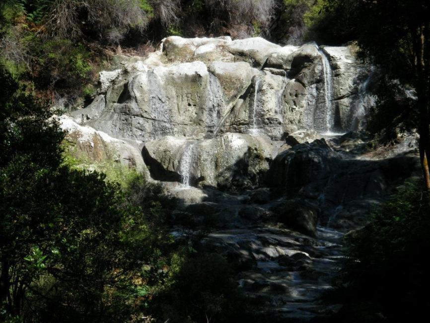 רוטורואה Springwaters Lodge מראה חיצוני תמונה